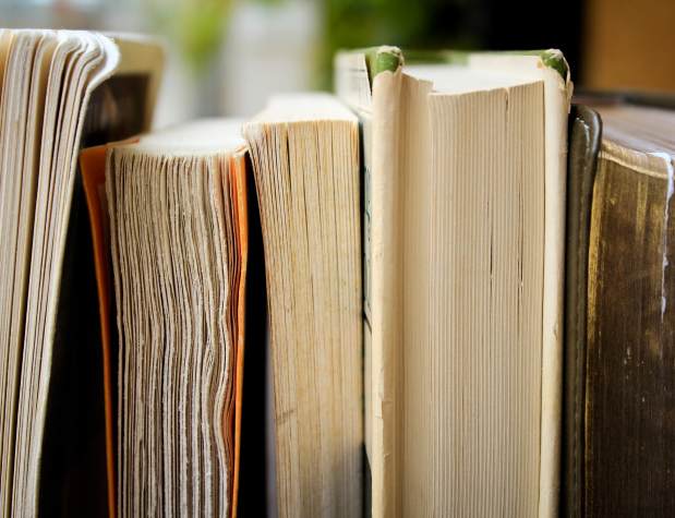 syd-wachs-slItfWbhijc-unsplash 2